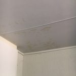 Ceiling before treatement by Insulmate