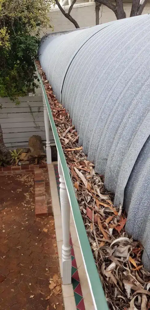 Blocked gutter filled with leaves and debris on a Perth home showing need for gutter guard installation