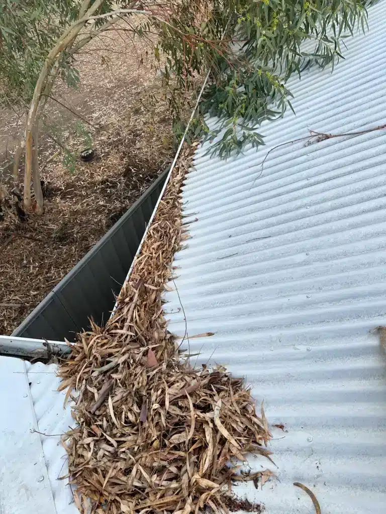 Blocked roof gutter filled with leaves and debris on a Perth home showing the need for professional gutter cleaning Perth services.