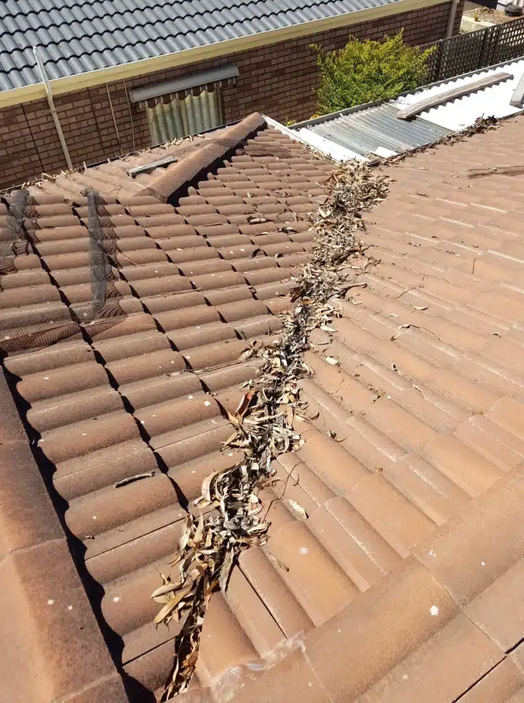 Roof valley filled with dry leaves and debris causing potential drainage blockage on a tiled residential roof in Perth