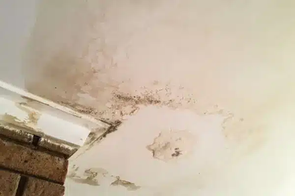 Water damaged ceiling with visible leak stains and mould growth caused by roof leakage in a Perth home