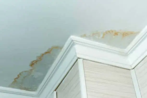 Early signs of ceiling damage in Perth home showing water stains and discolouration near ceiling edges