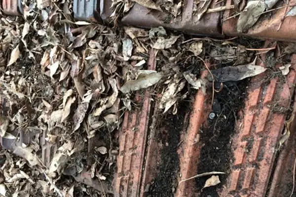 Blocked roof gutters filled with leaves and debris requiring gutter replacement in Perth
