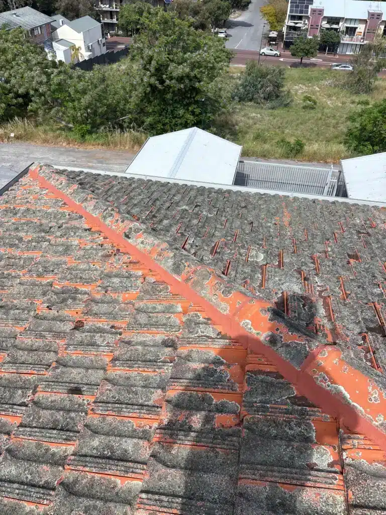 Terracotta tiled roof in Perth showing ridge capping with red pointing mortar and weathered roof tiles covered in lichen.