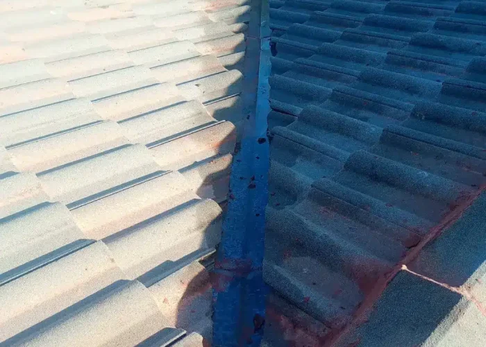 roof-and-gutter-cleaning-roof-valley-before-cleaning-perth.jpg