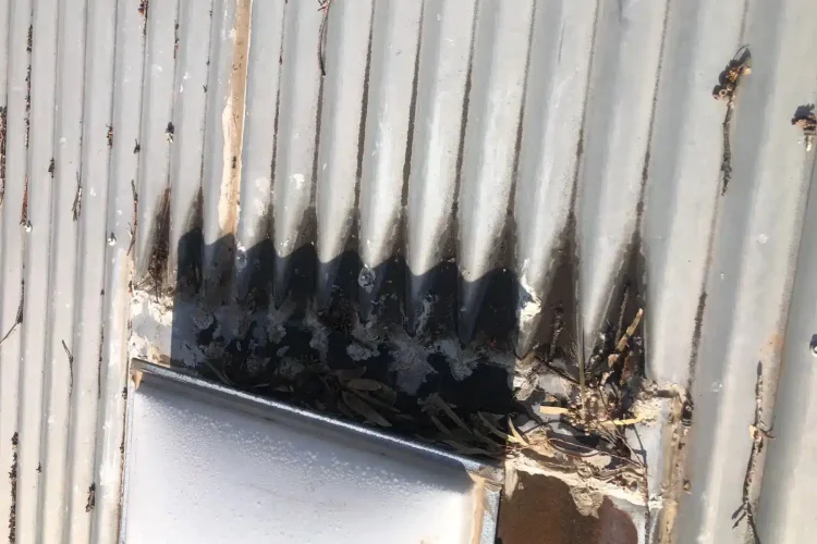 Damaged corrugated metal roofing identified during a roof replacement inspection